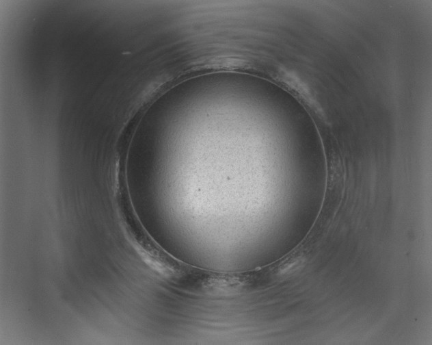 X0000073950110200608281225