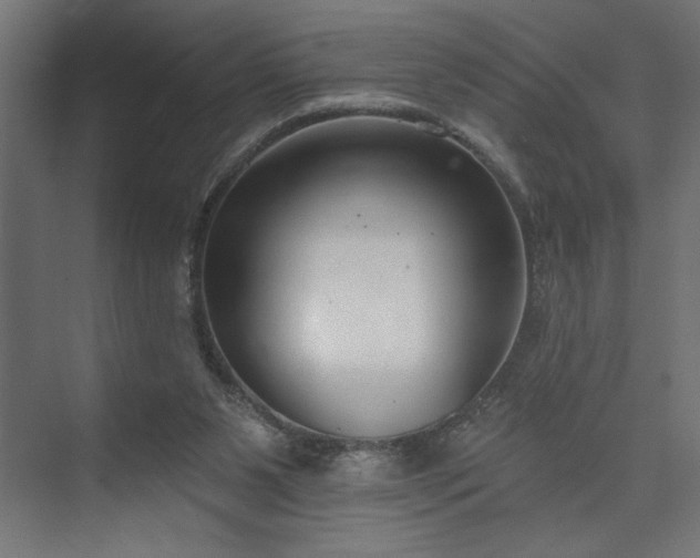 X0000073950111200608281225