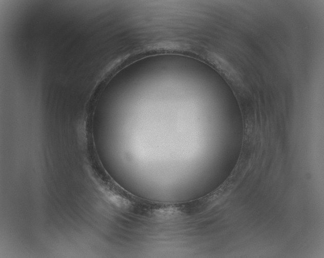 X0000073950112200608281225