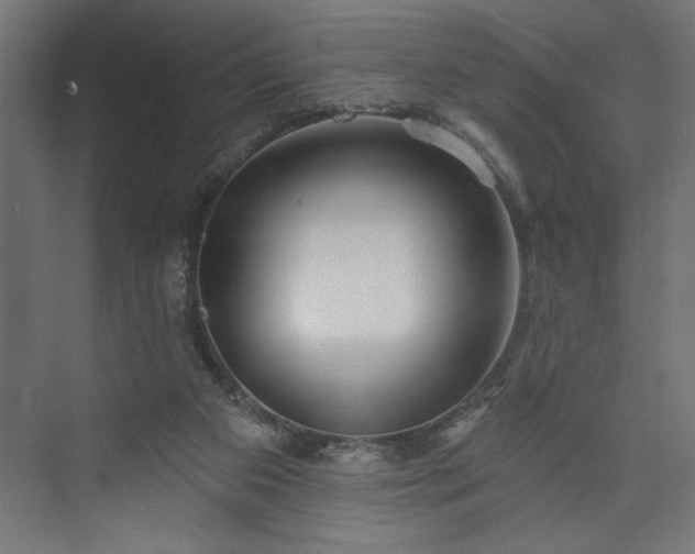 X0000073950113200608281225