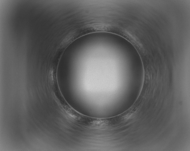 X0000073950117200608281225