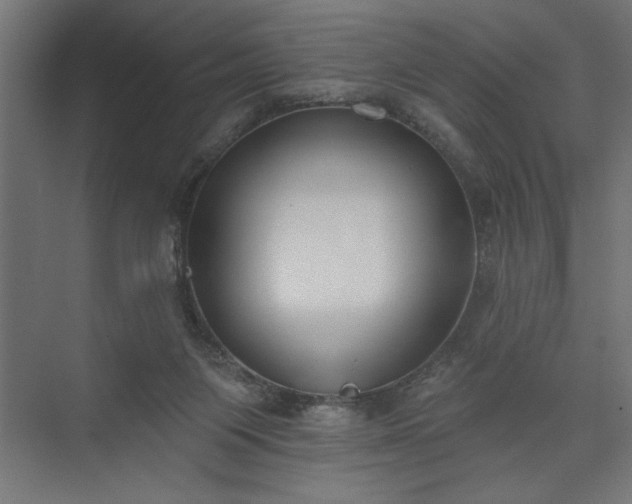 X0000073950119200608281225