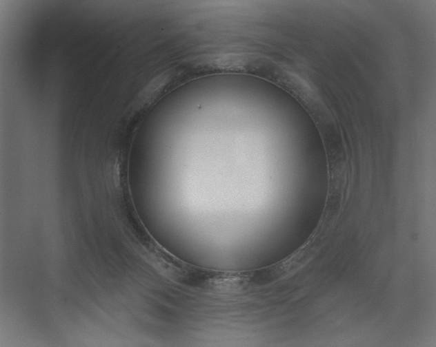 X0000073950120200608281225