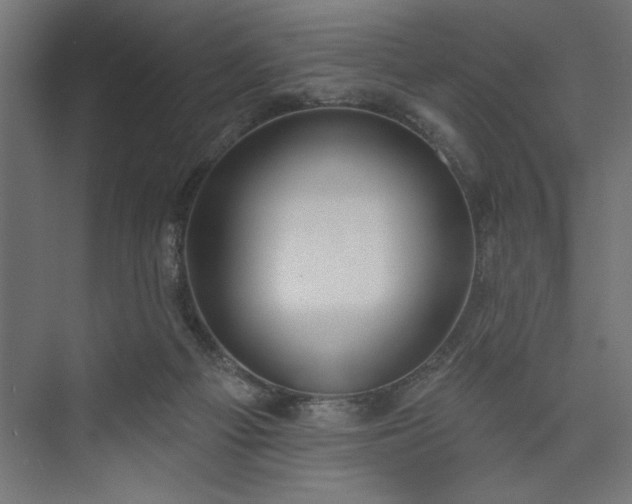 X0000073950121200608281225