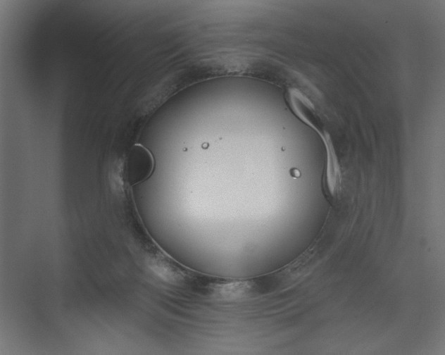 X0000073950122200608281225