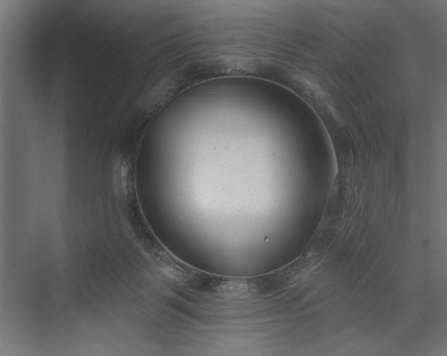 X0000073950123200608281225