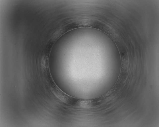 X0000073950126200608281225