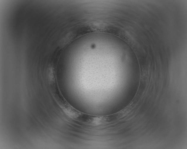 X0000073950130200608281225