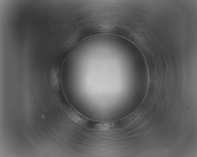 X0000073950131200608281225