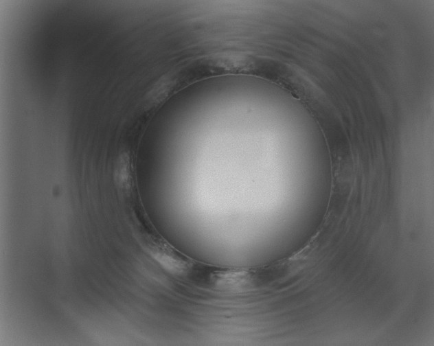 X0000073950132200608281225