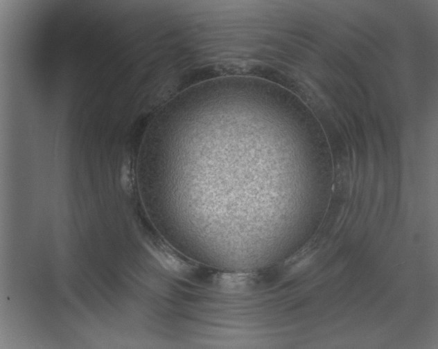 X0000073950134200608281225