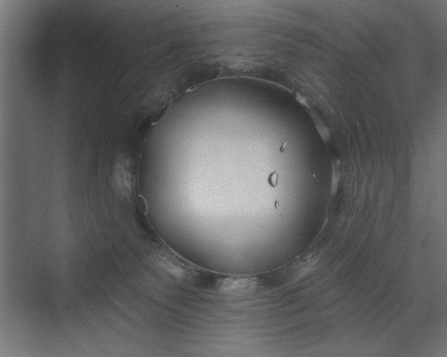 X0000073950135200608281225