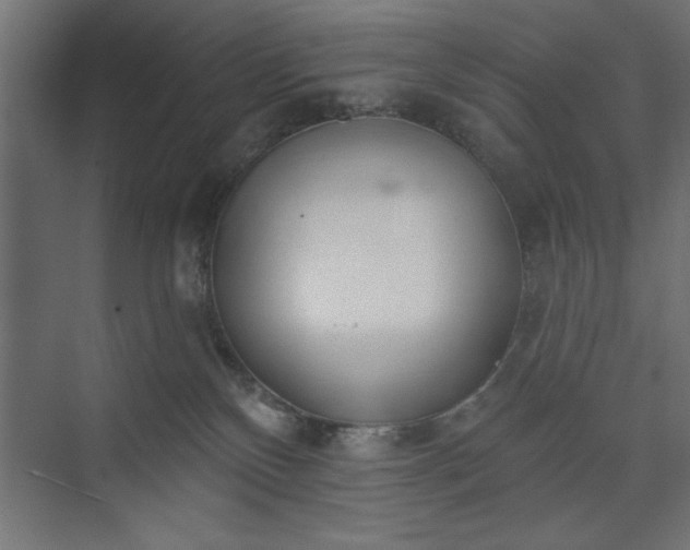 X0000073950136200608281225