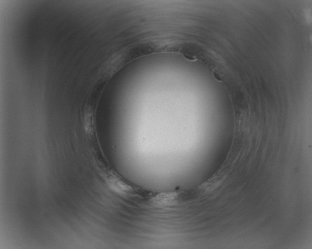 X0000073950138200608281225