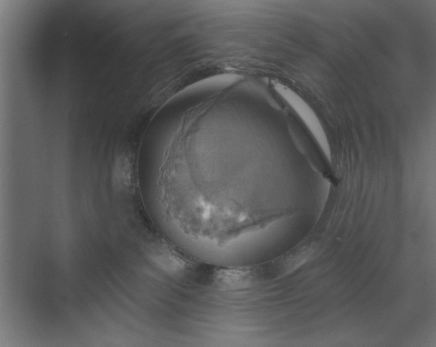 X0000073950139200608281225