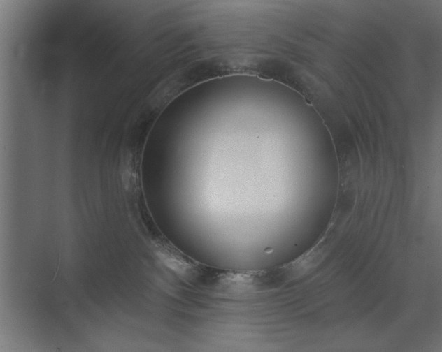 X0000073950140200608281225