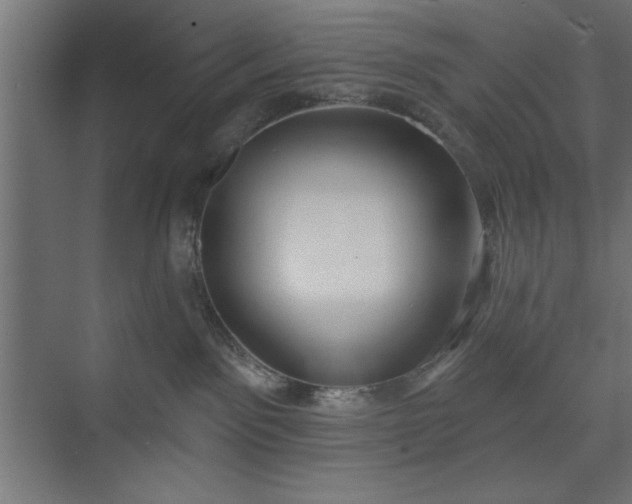 X0000073950141200608281225