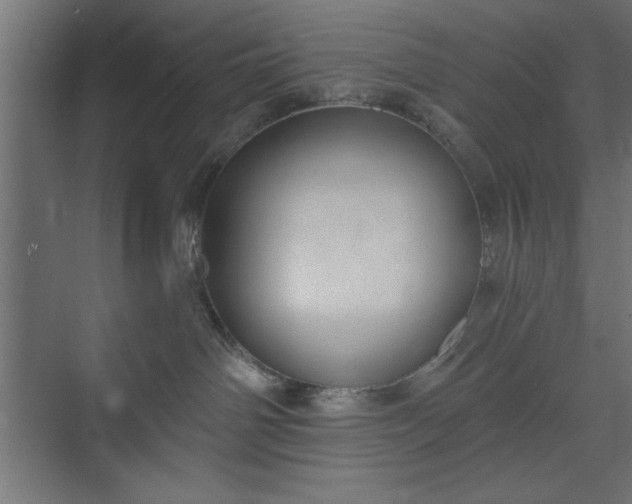 X0000073950142200608281225