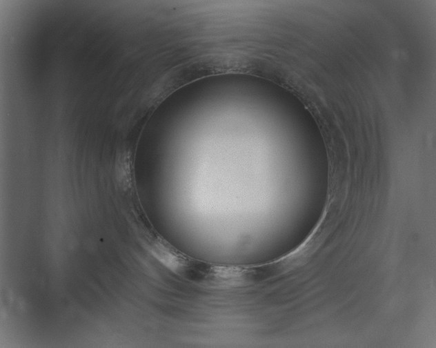 X0000073950144200608281225