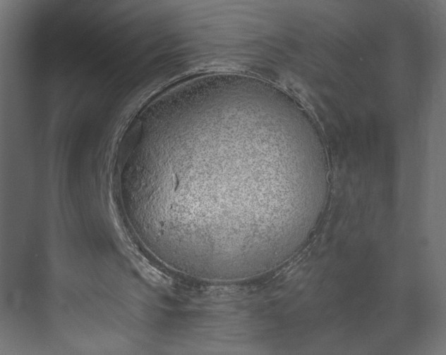 X0000073950145200608281224