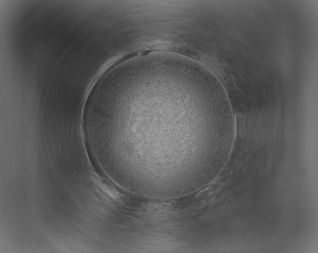 X0000073950147200608281224