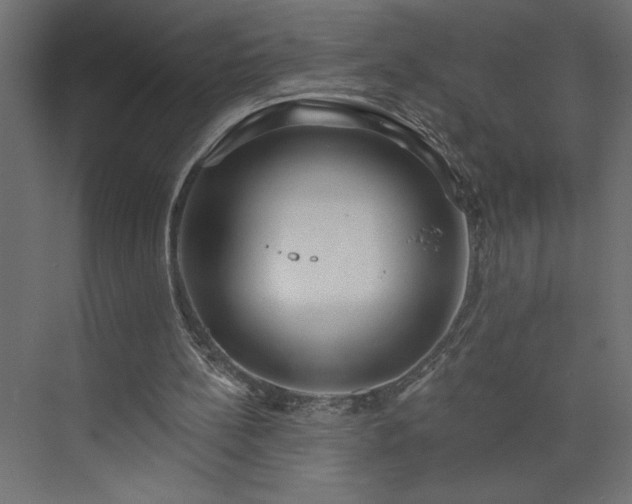 X0000073950148200608281224