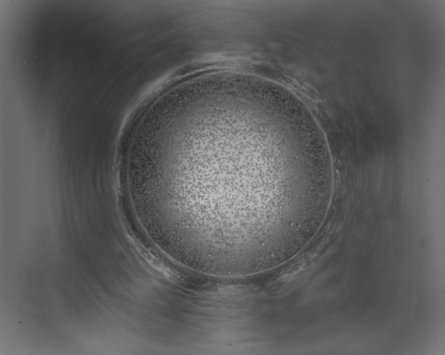 X0000073950149200608281224