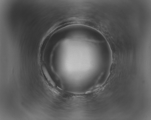 X0000073950150200608281224