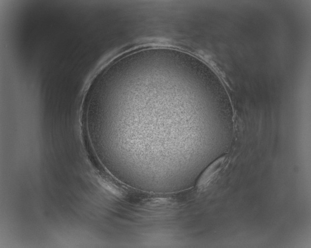 X0000073950151200608281224