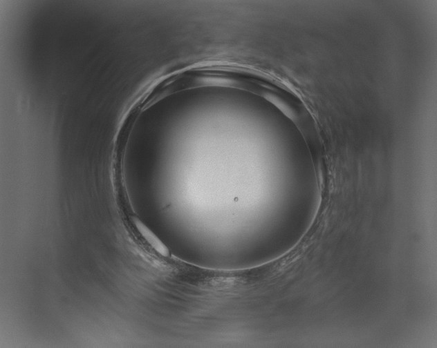 X0000073950152200608281224