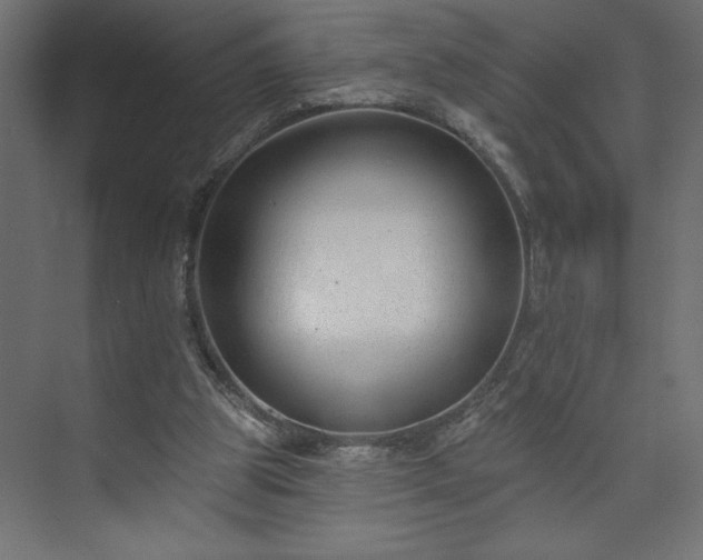 X0000073950153200608281224