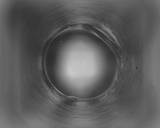 X0000073950154200608281224