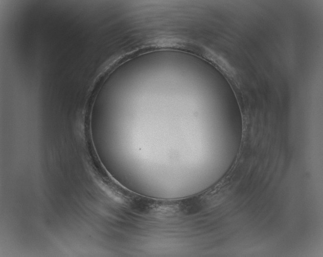 X0000073950155200608281224