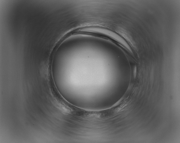 X0000073950156200608281224