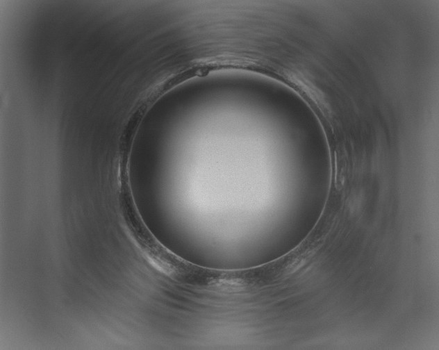 X0000073950157200608281224