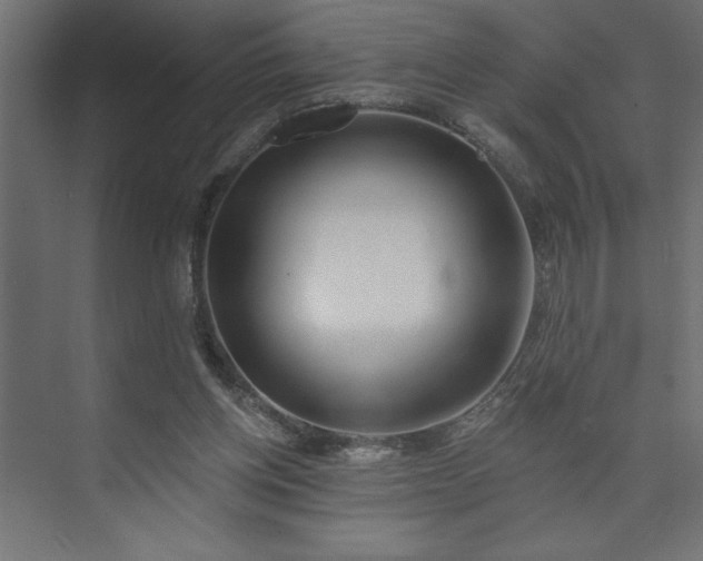 X0000073950158200608281224