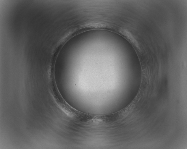 X0000073950159200608281224