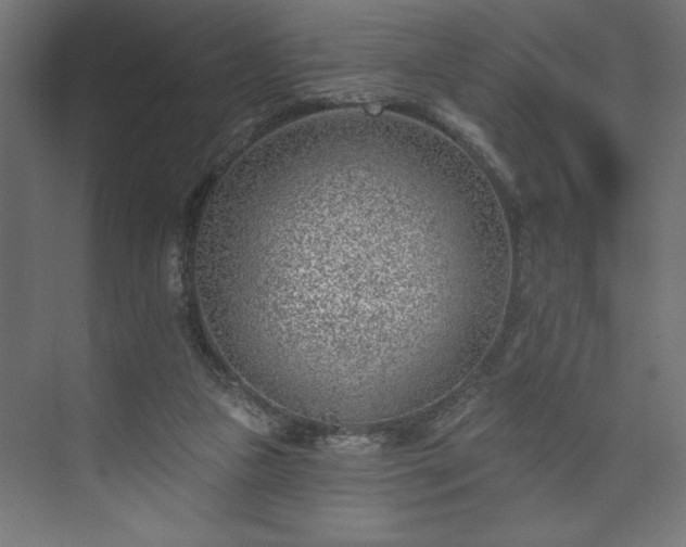 X0000073950161200608281224