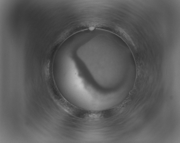 X0000073950163200608281224