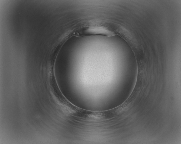 X0000073950164200608281224