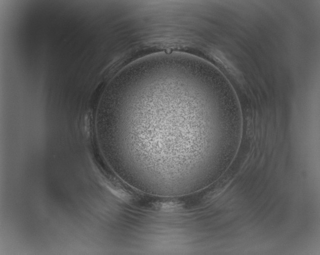 X0000073950165200608281224