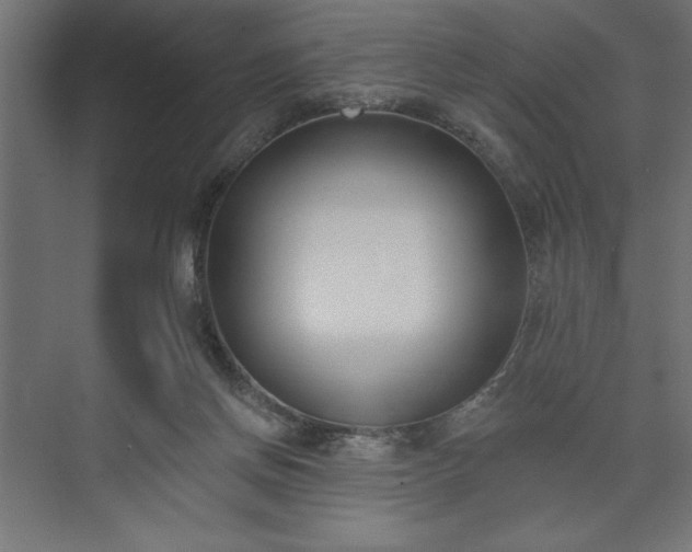 X0000073950166200608281224