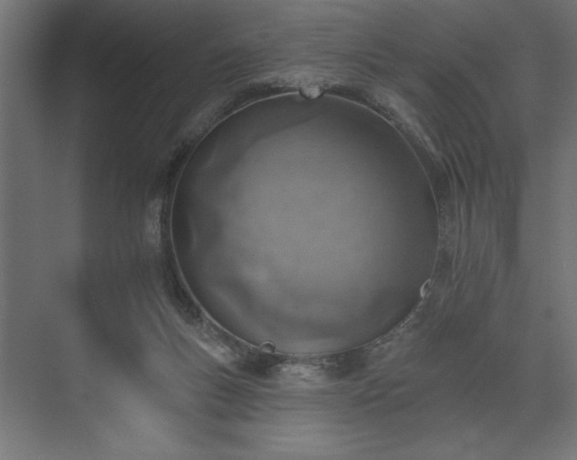 X0000073950167200608281224