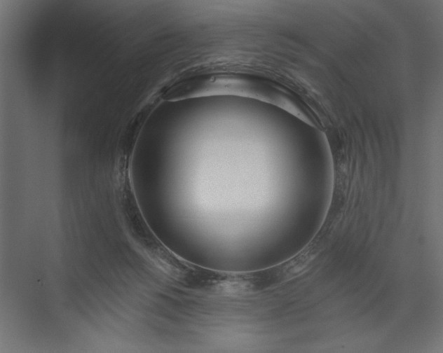 X0000073950168200608281224