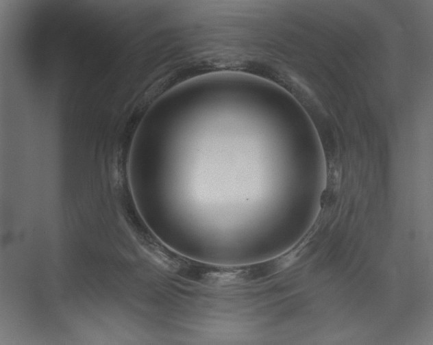 X0000073950170200608281224