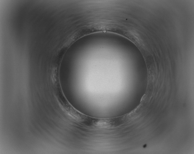 X0000073950171200608281224