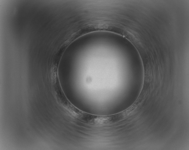 X0000073950172200608281224