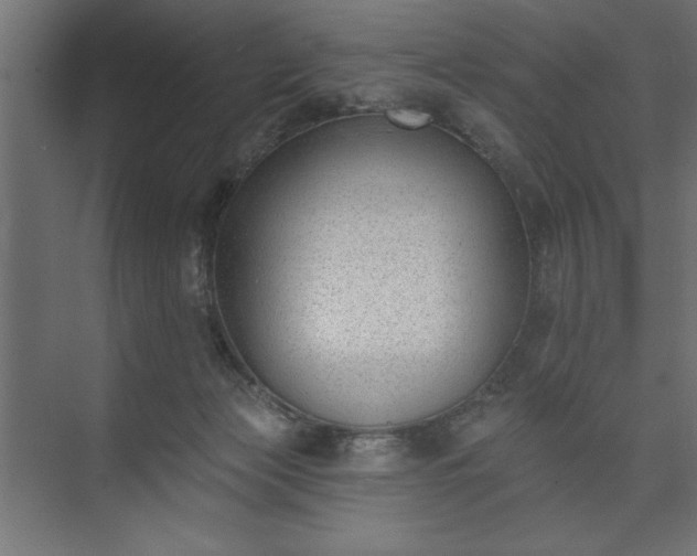 X0000073950173200608281224