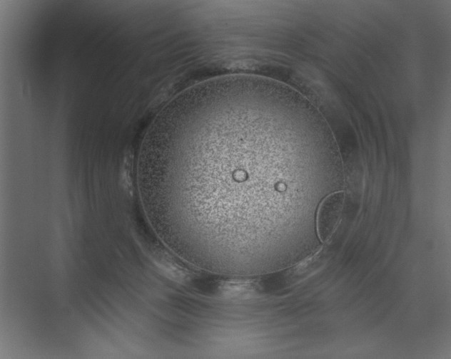 X0000073950175200608281224