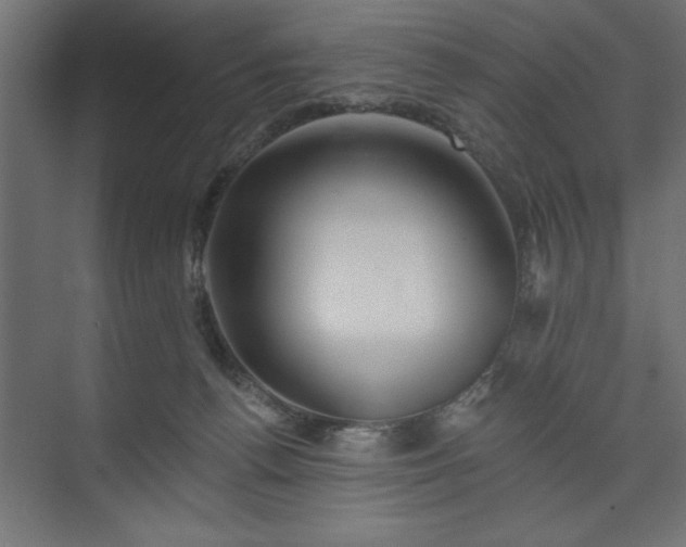 X0000073950176200608281224